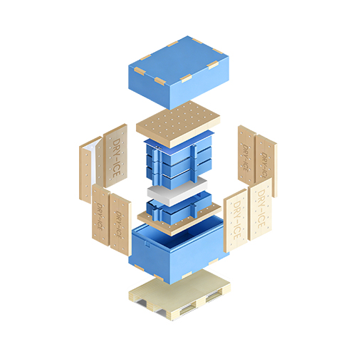 DS SINGLE-USE COLD CHAIN